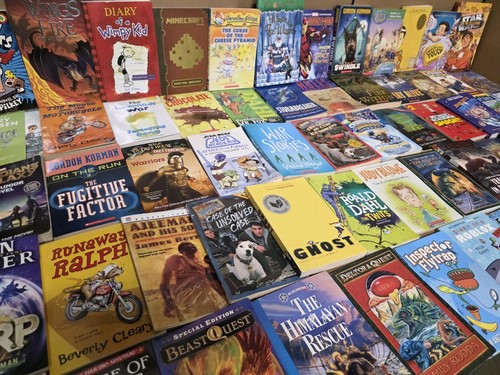 Lot chapter books for - lot, 20